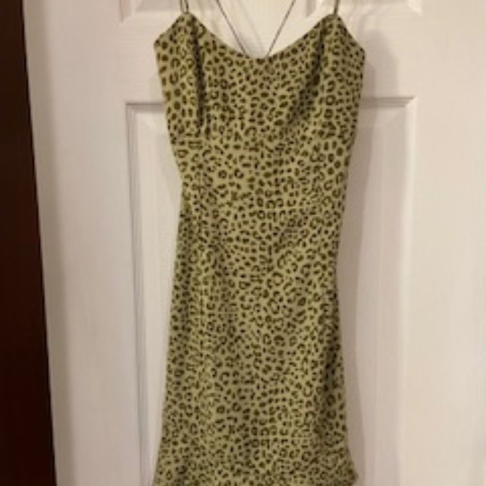 Zara dress